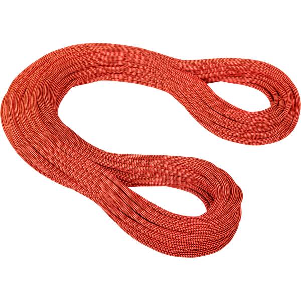 MAMMUT Bergseil 10.2 Gravity Dry