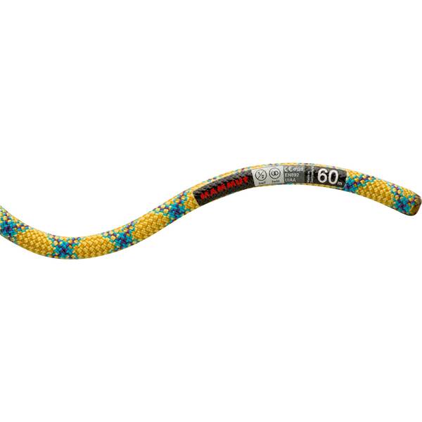 MAMMUT Bergseil Protect Standard