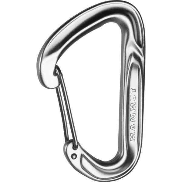 MAMMUT Karabiner Wall Light