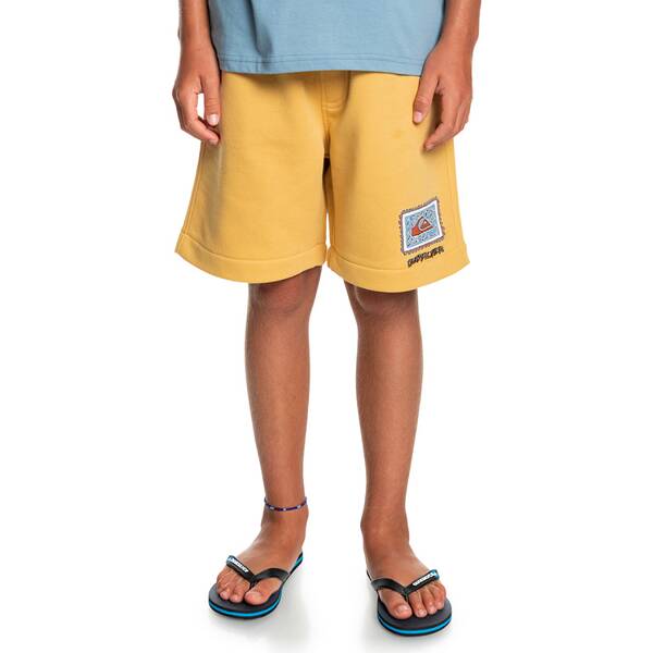 QUIKSILVER Kinder Shorts STIR ROOTS UP B OTLR
