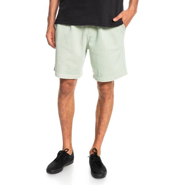 QUIKSILVER Herren Shorts TRIP AWAY M OTLR