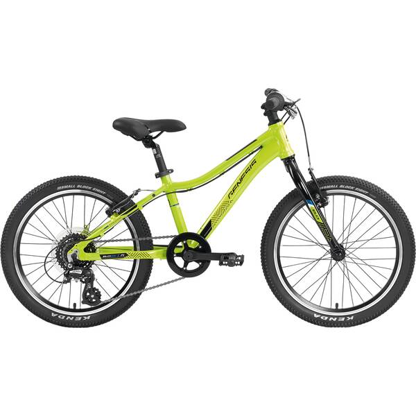 GENESIS Kinder Mountainbike Genesis Evolution JR20 Lite