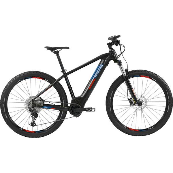 GENESIS Genesis E-Pro MTB 2,2 PT 29