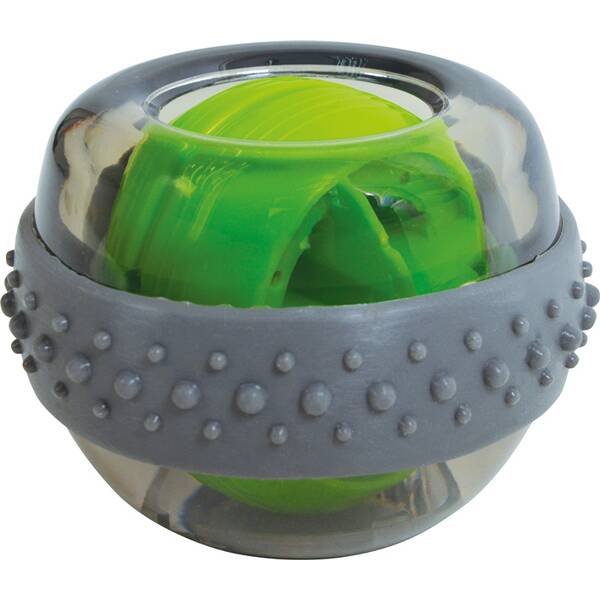 Schildkröt Fitness Spinball