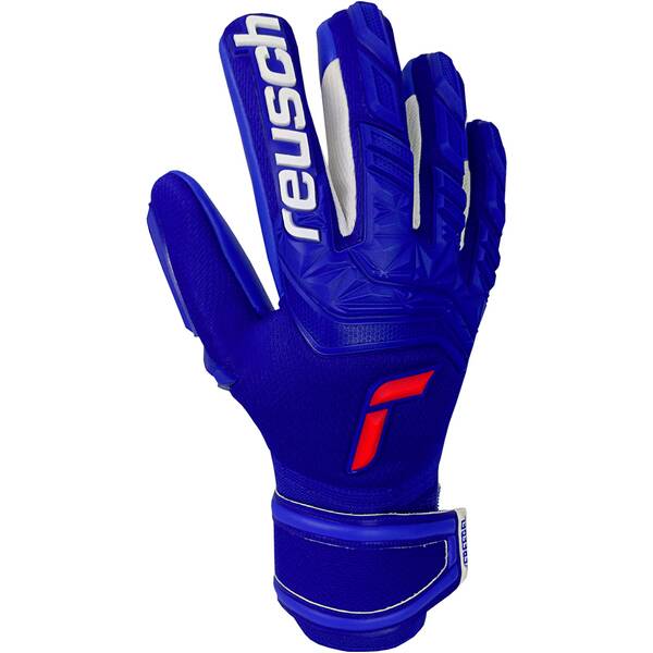 REUSCH Herren Handschuhe Herren Torwarthandschuhe Attrakt Freegel Silver