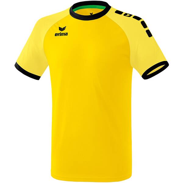 ERIMA Fußball - Teamsport Textil - Trikots Zenari 3.0 Trikot Kids
