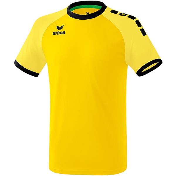 ERIMA Fußball - Teamsport Textil - Trikots Zenari 3.0 Trikot Kids