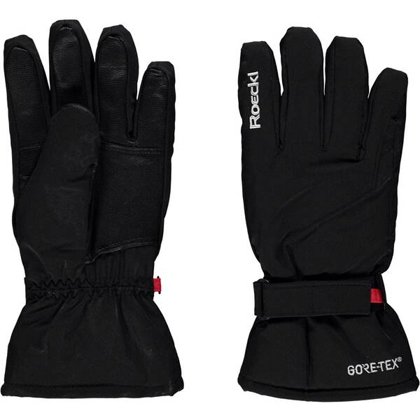 ROECKL SPORTS Herren Skihandschuhe Haines