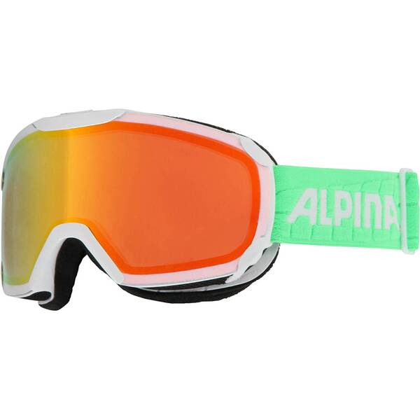 ALPINA Skibrille Pheos R