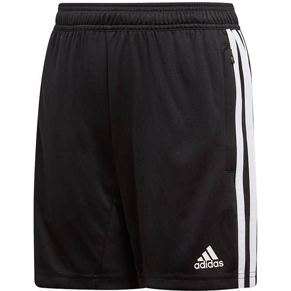 ADIDAS Fußball - Teamsport Textil - Shorts Tiro 19 Trainingsshort Kids