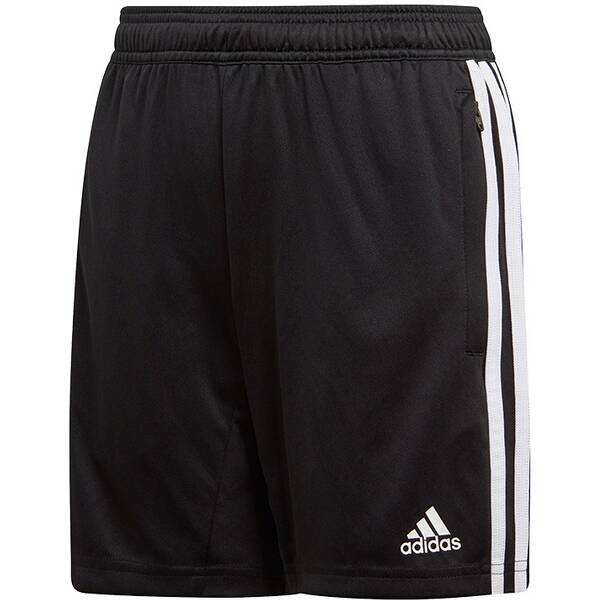 ADIDAS Fußball - Teamsport Textil - Shorts Tiro 19 Trainingsshort Kids