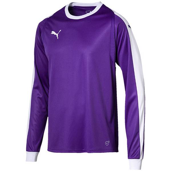 PUMA Fußball - Teamsport Textil - Torwarttrikots LIGA Torwarttrikot Kids