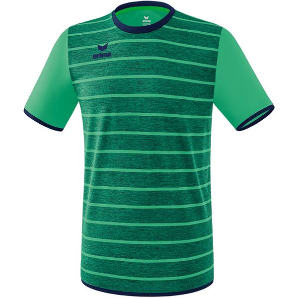 ERIMA Fußball - Teamsport Textil - Trikots Roma Trikot kurzarm