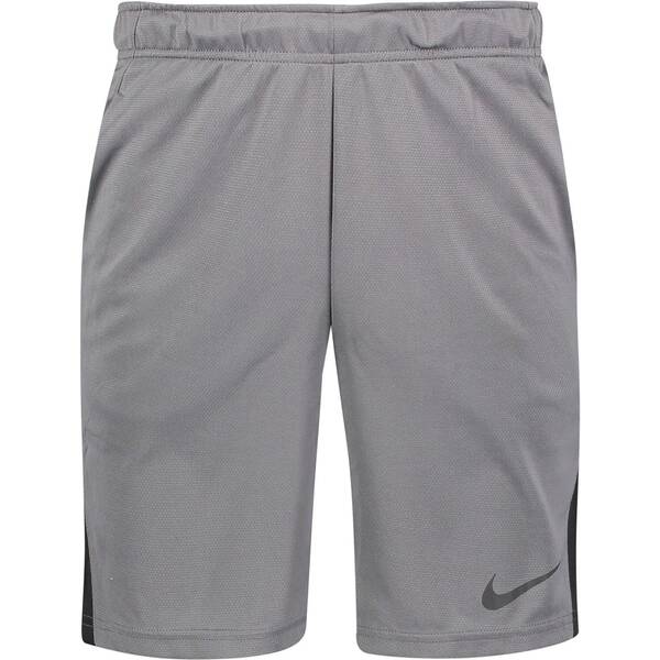 NIKE Herren Shorts Dri-FIT