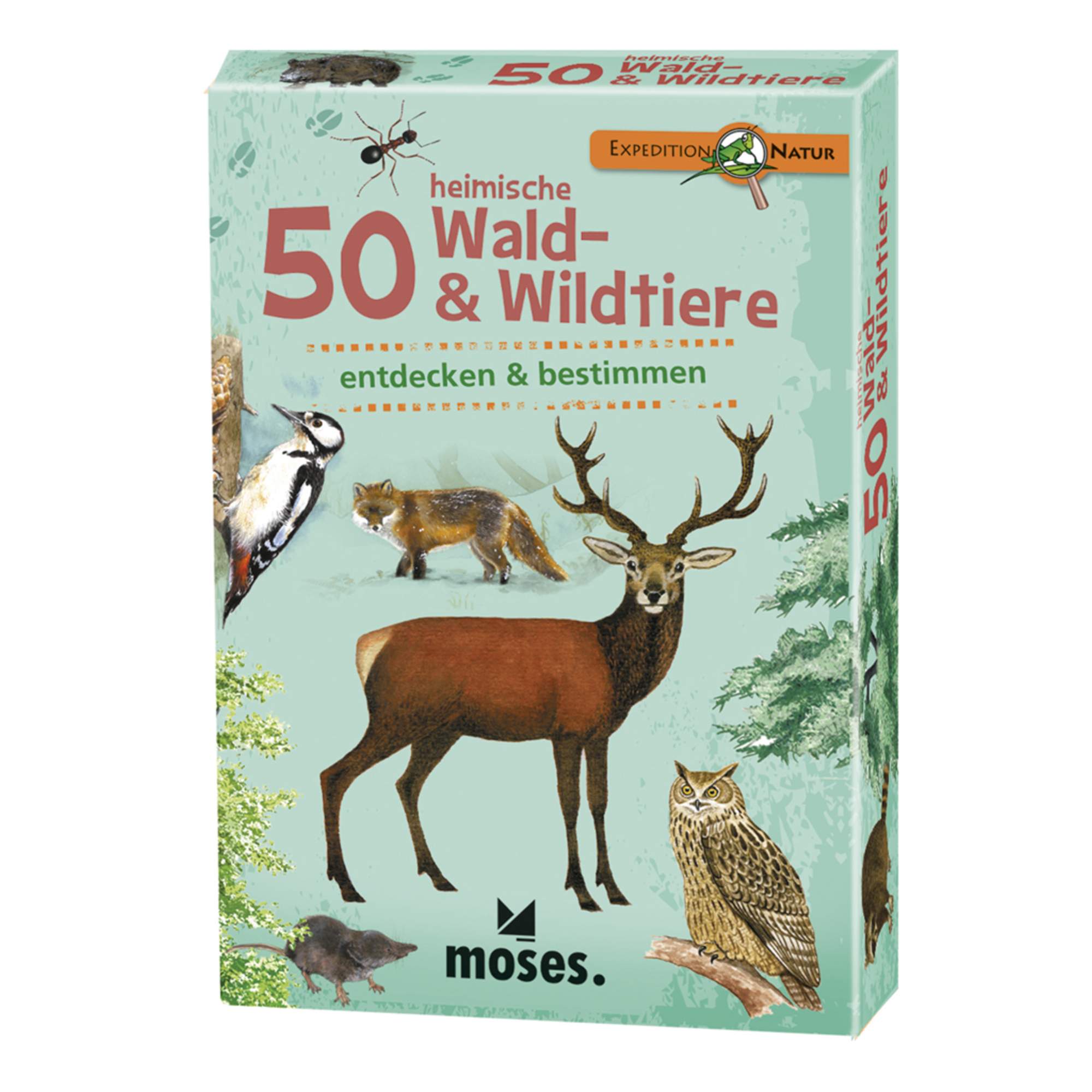 Moses Verlag EXPEDITION NATUR 50 HEIMISCHE WALD- & WILDTIERE