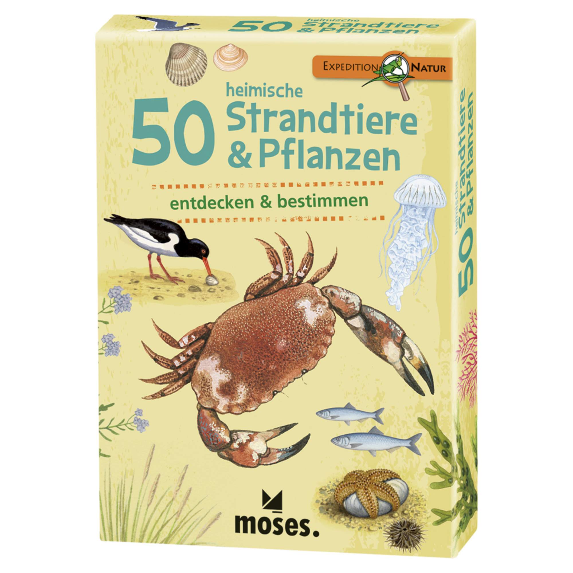 Moses Verlag EXPEDITION NATUR 50 HEIMISCHE STRANDTIERE & PFLANZEN