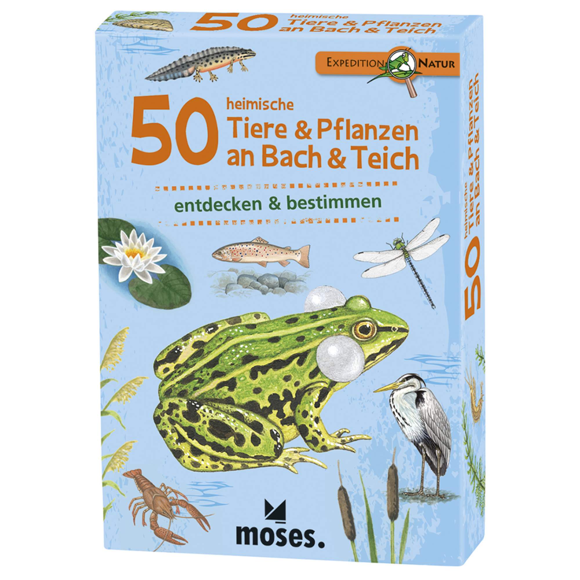 Moses Verlag EXPEDITION NATUR 50 HEIMISCHE TIERE & PFLANZEN AN BACH & TEI