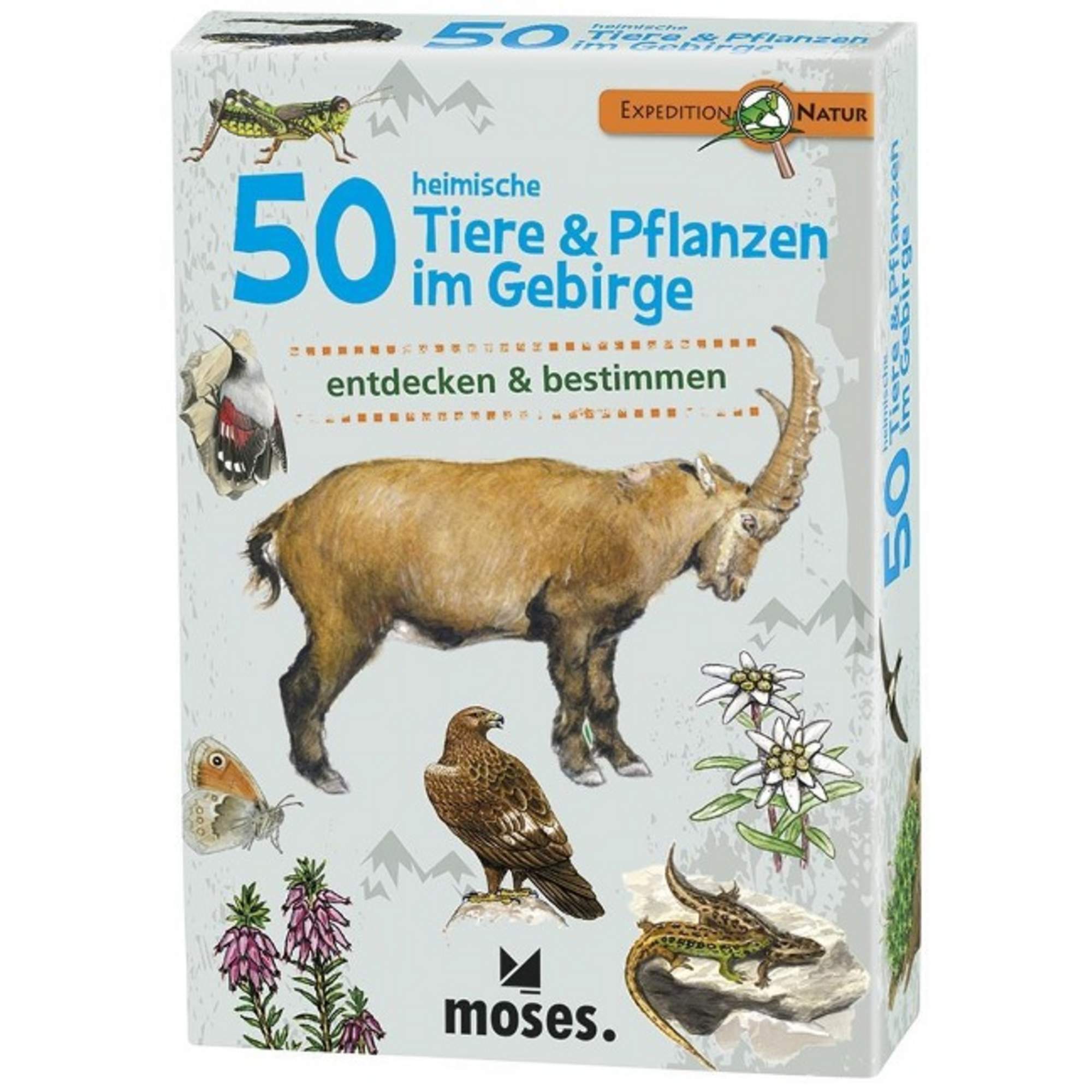 Moses Verlag 50 HEIMISCHE TIERE & PFLANZEN IM GEBIRGE