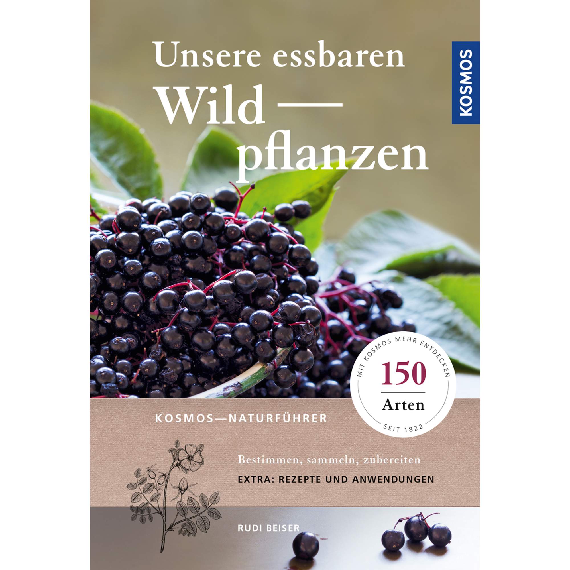 UNSERE ESSBAREN WILDPFLANZEN