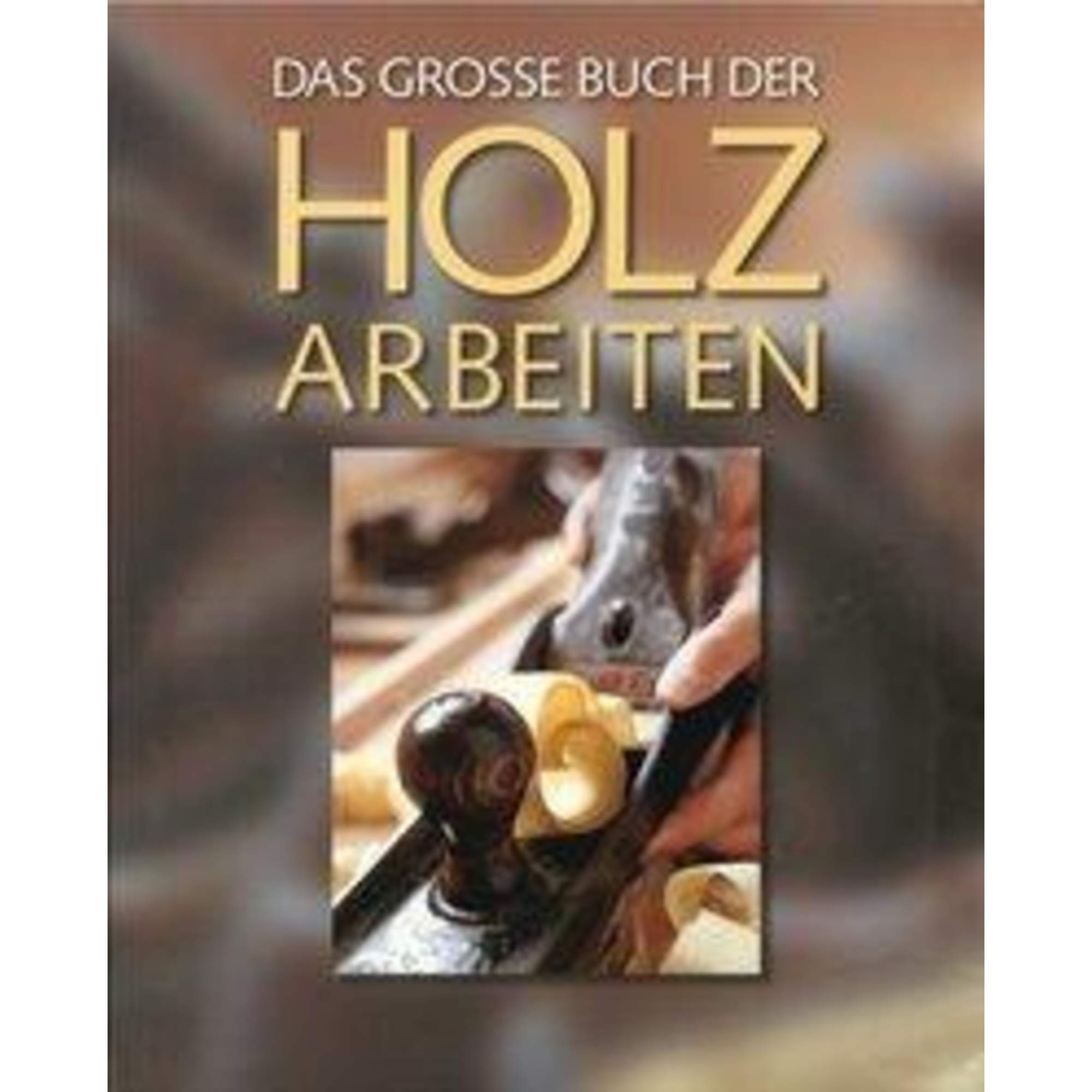 Das große Buch der Holzarbeiten