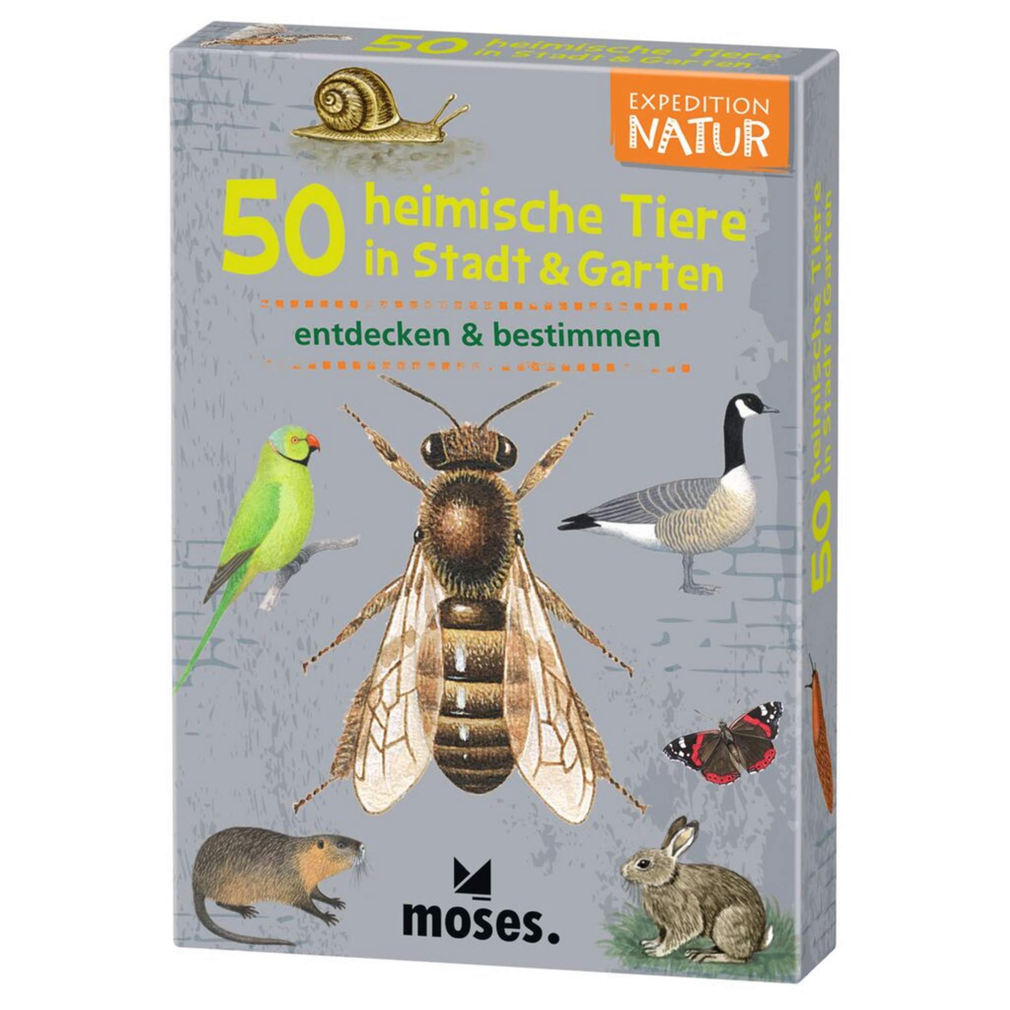 Moses Verlag EXPEDITION NATUR 50 HEIMISCHE TIERE IN STADT & GARTEN