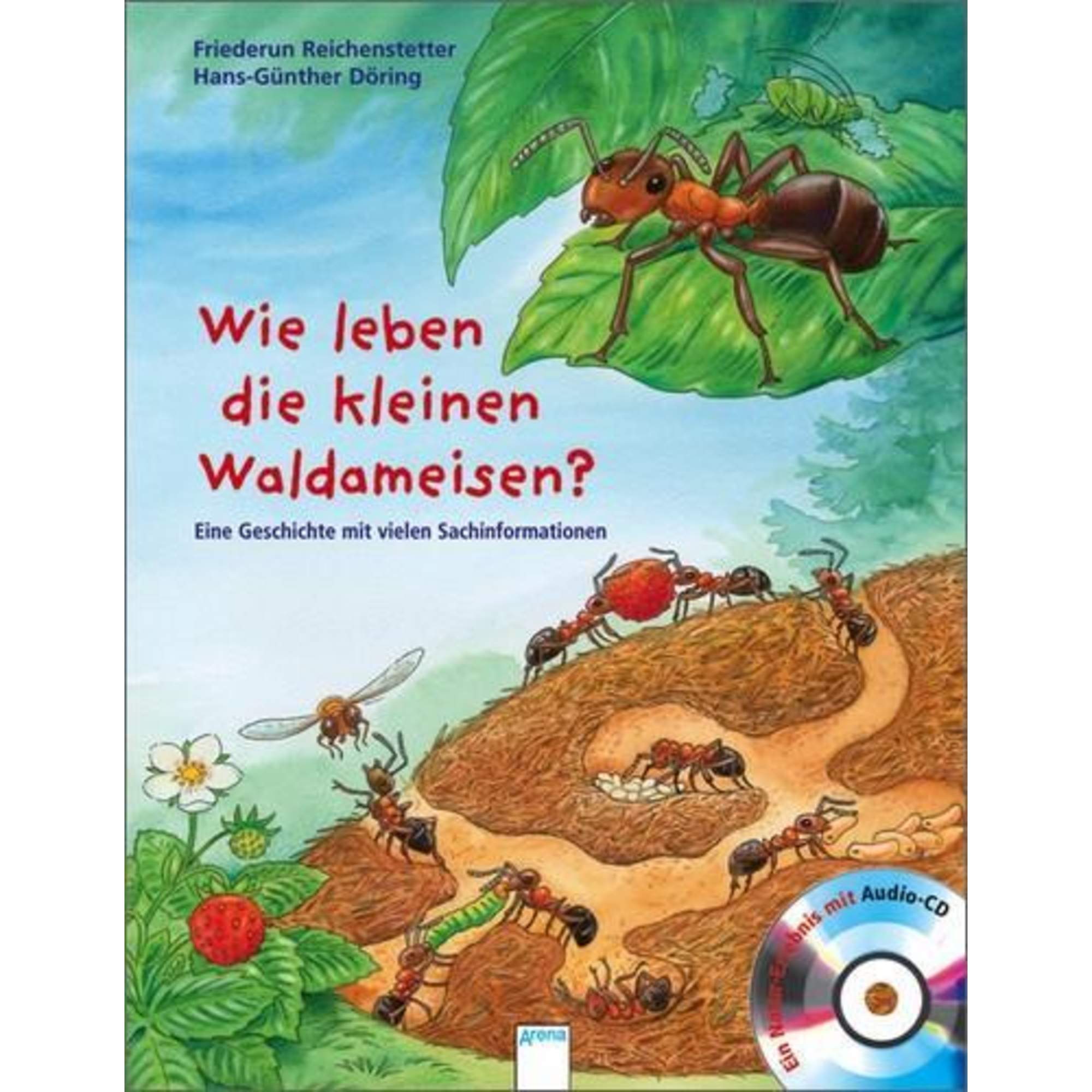 Wie leben die kleinen Waldameisen?