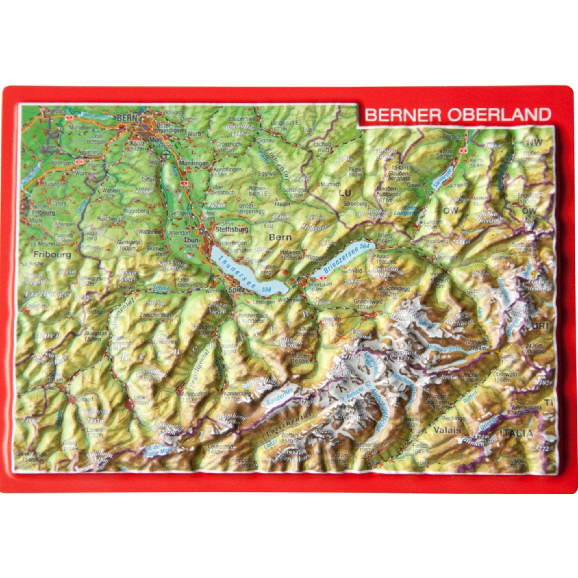 RELIEFPOSTKARTE BERNER OBERLAND