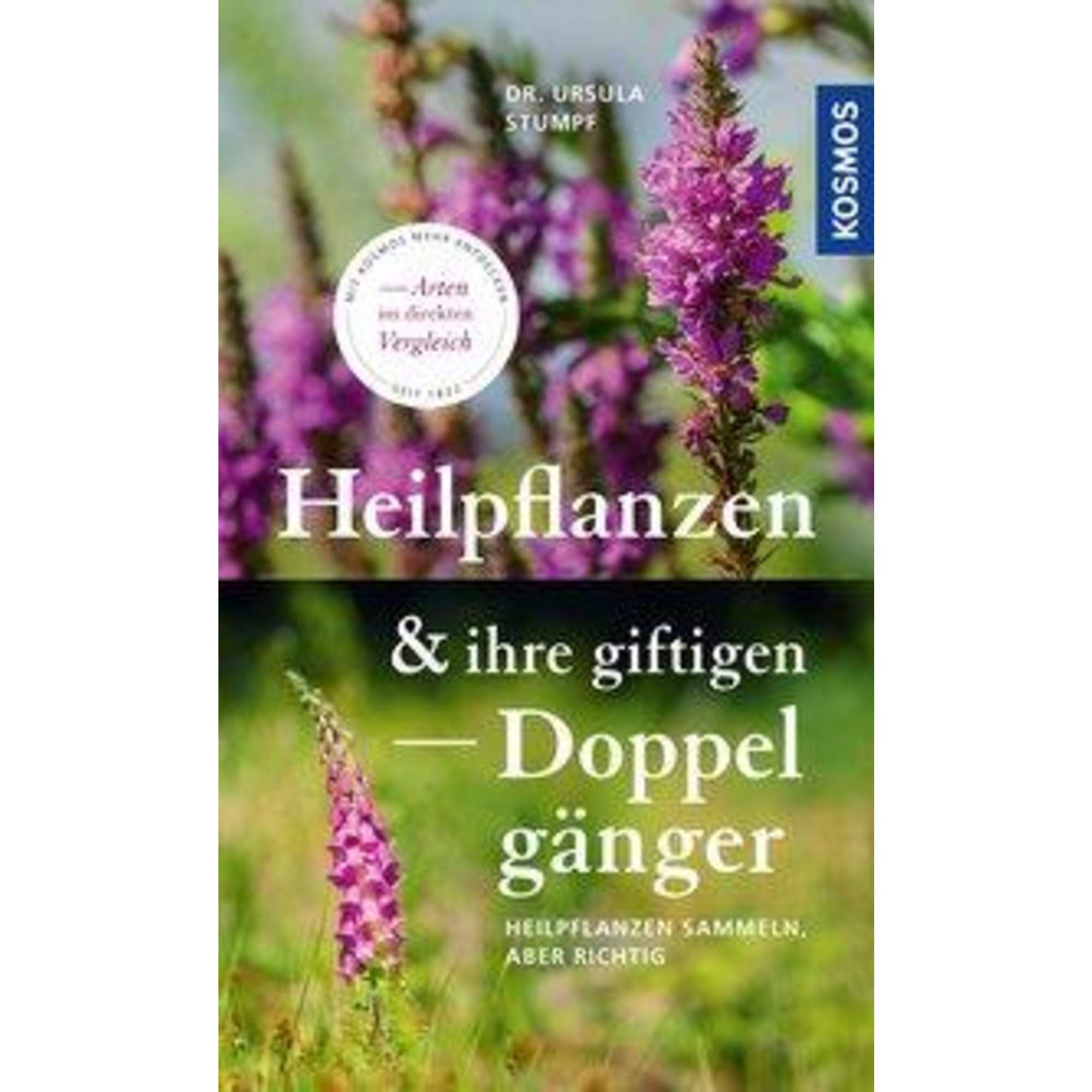 Heilpflanzen und ihre giftigen Doppelgänger
