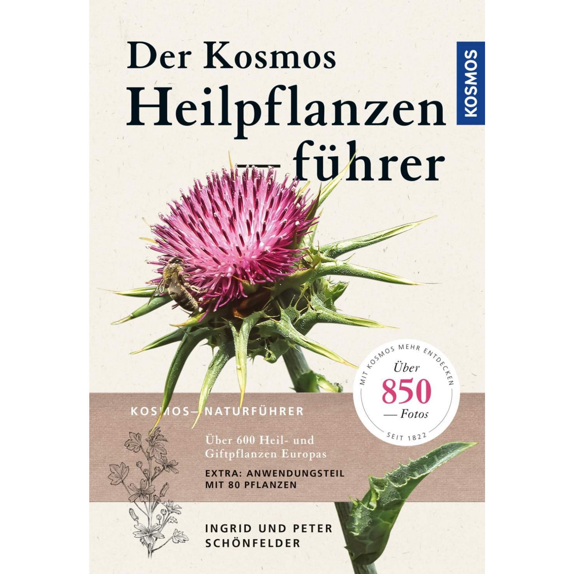 Der Kosmos Heilpflanzenführer
