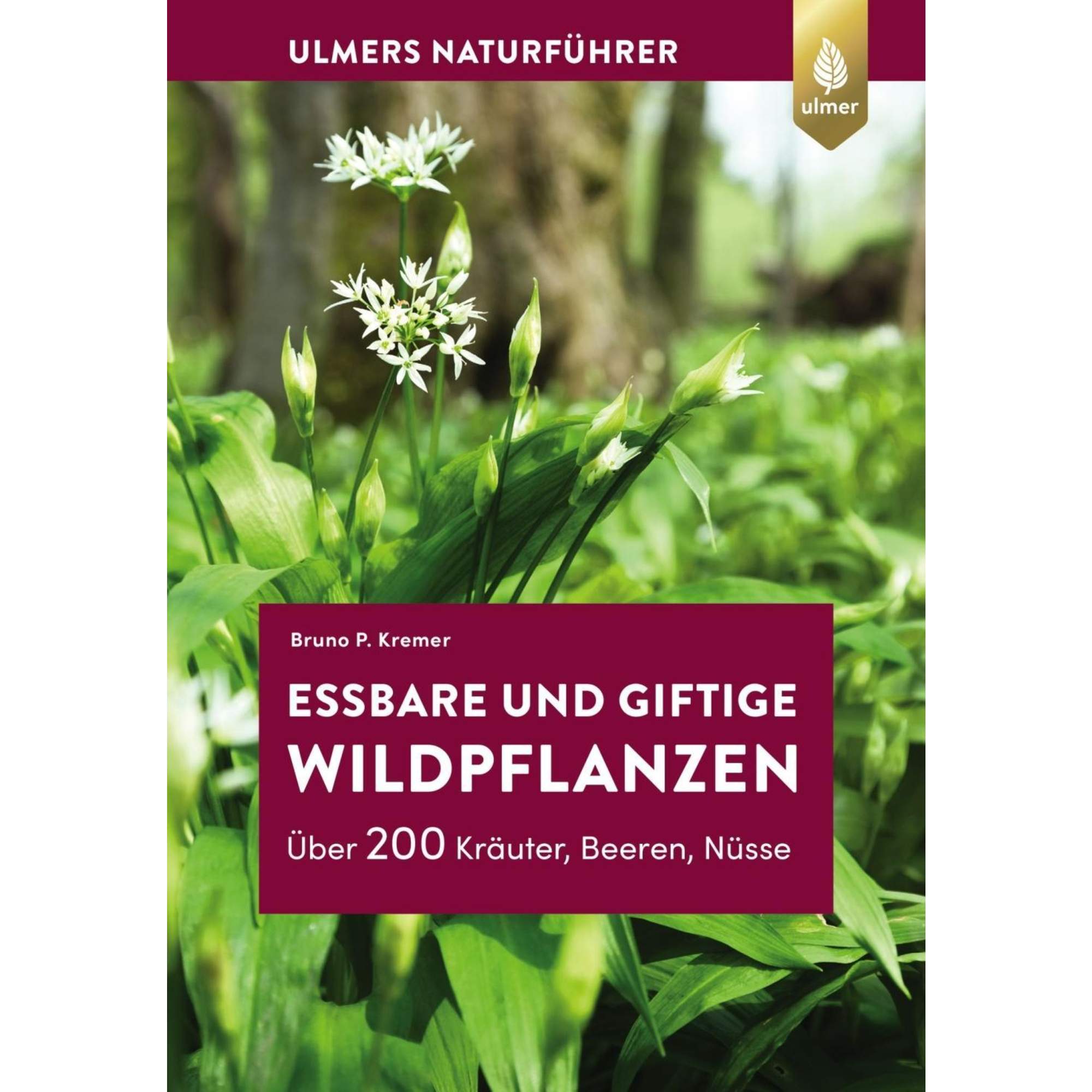 ESSBARE UND GIFTIGE WILDPFLANZEN