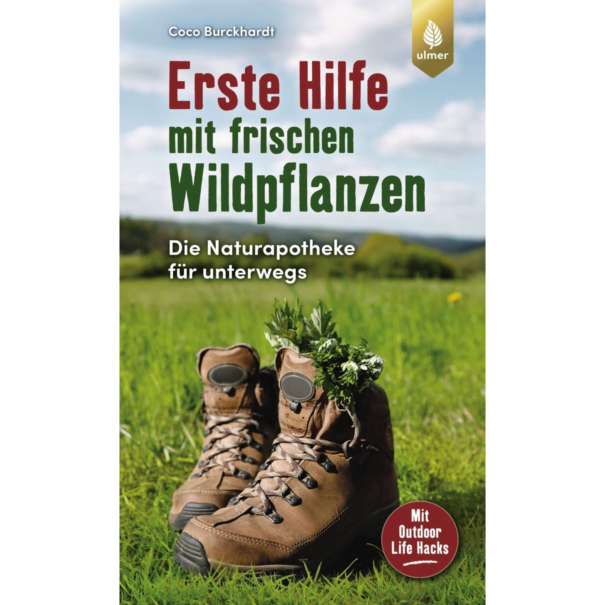 Erste Hilfe mit frischen Wildpflanzen