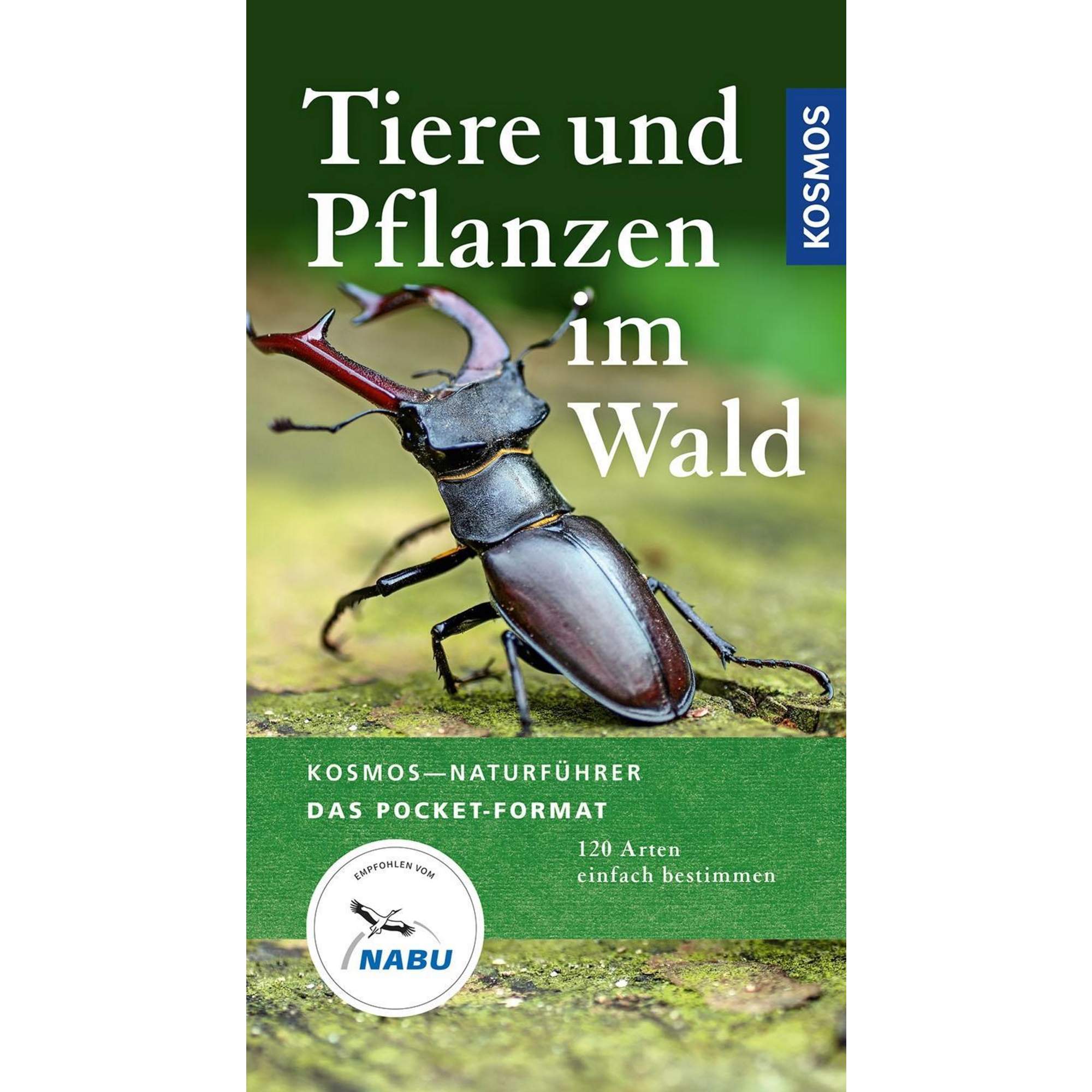 TIERE UND PFLANZEN IM WALD