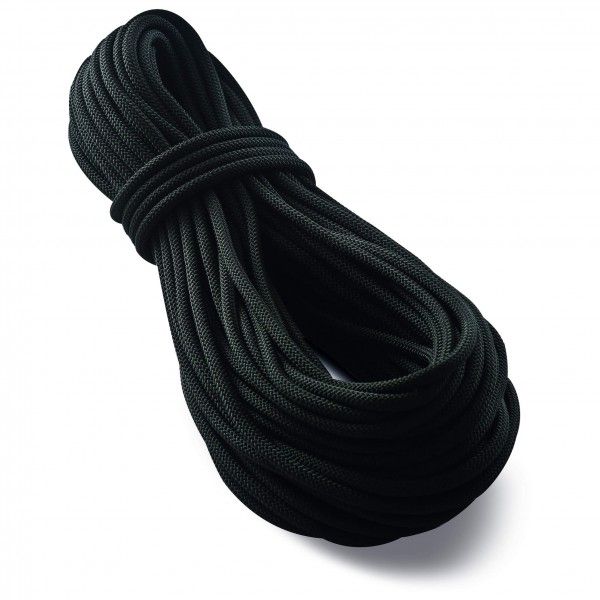 Tendon - Pro Work 10.5 - Statikseil Gr 30 m blau