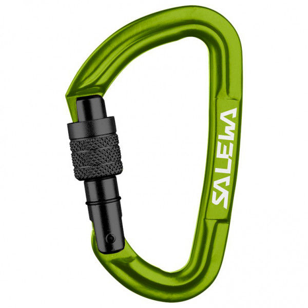 Salewa - Hot G3 Screw Carabiner - Schraubkarabiner Gr One Size oliv