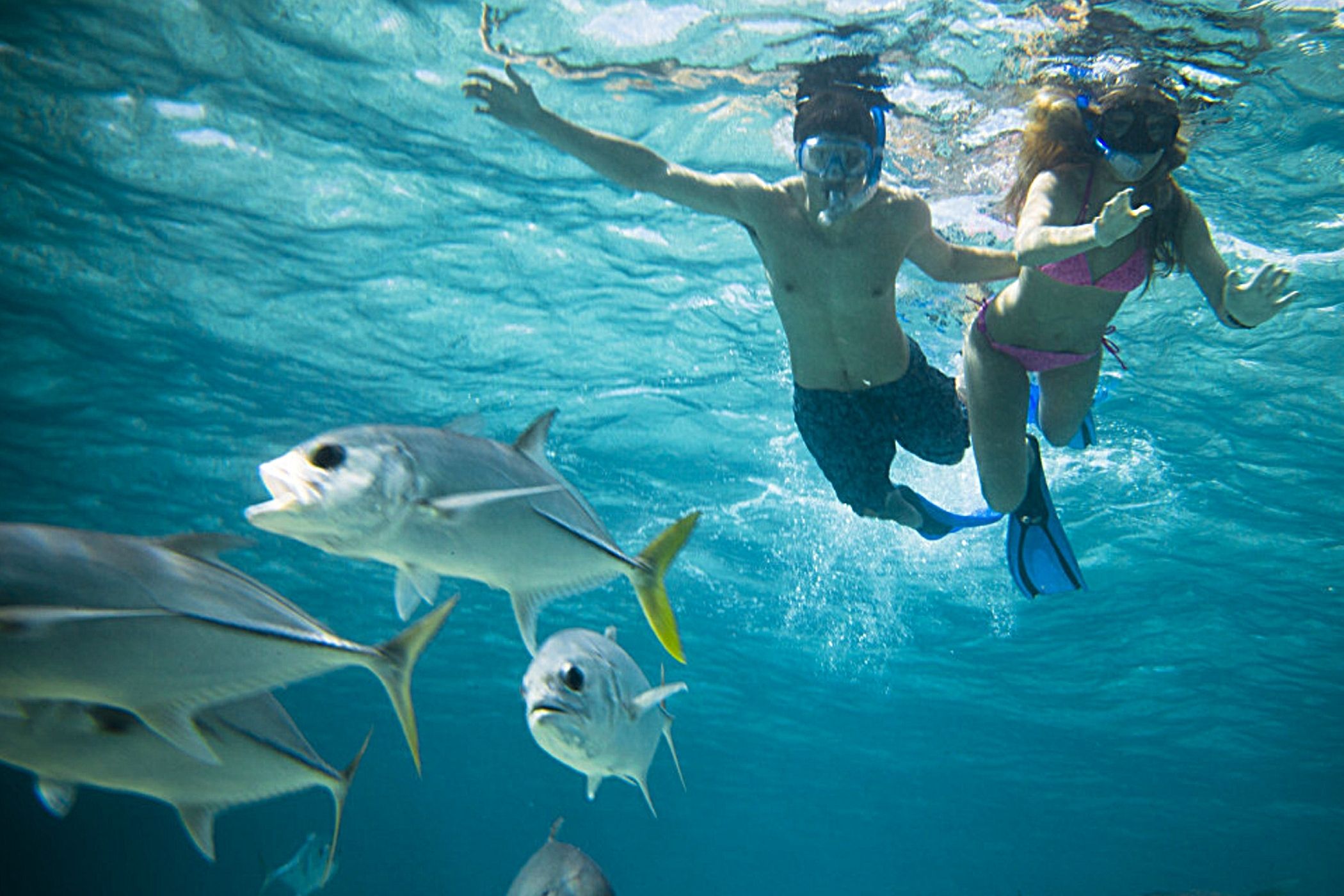115 Thing to Do in Puerto Penasco - Encanto Living Vacation Beach ...