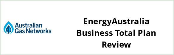 Australian Gas Networks - EnergyAustralia Business Total Plan Review