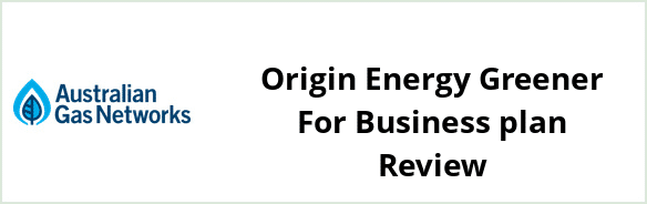 AGN Murray Valley (NSW) - Origin Energy Greener For Business plan Review