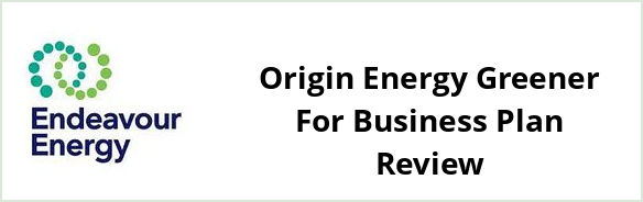 Endeavour - Origin Energy Greener For Business plan Review