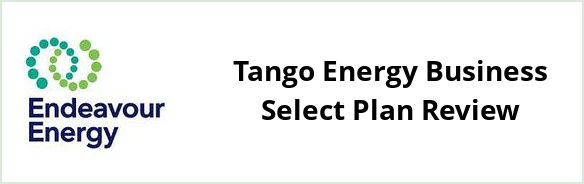 Endeavour - Tango Energy Business Select plan Review