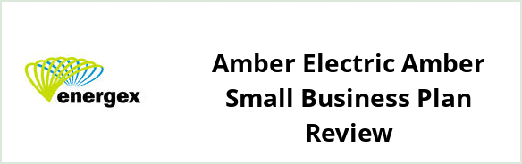 Energex - Amber Electric Amber Small Business Plan Review