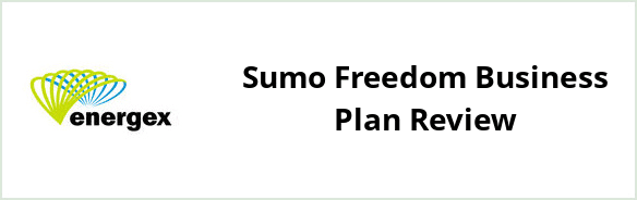 Energex - Sumo Freedom Business plan Review