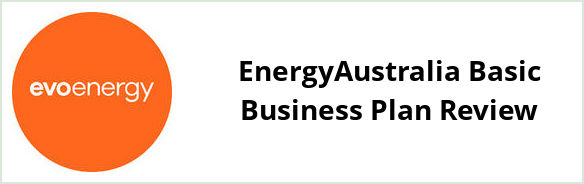 Evoenergy - EnergyAustralia Basic Business plan Review