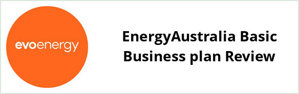 Evoenergy Queanbeyan - EnergyAustralia Basic Business plan Review