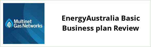 Multinet - EnergyAustralia Basic Business plan Review