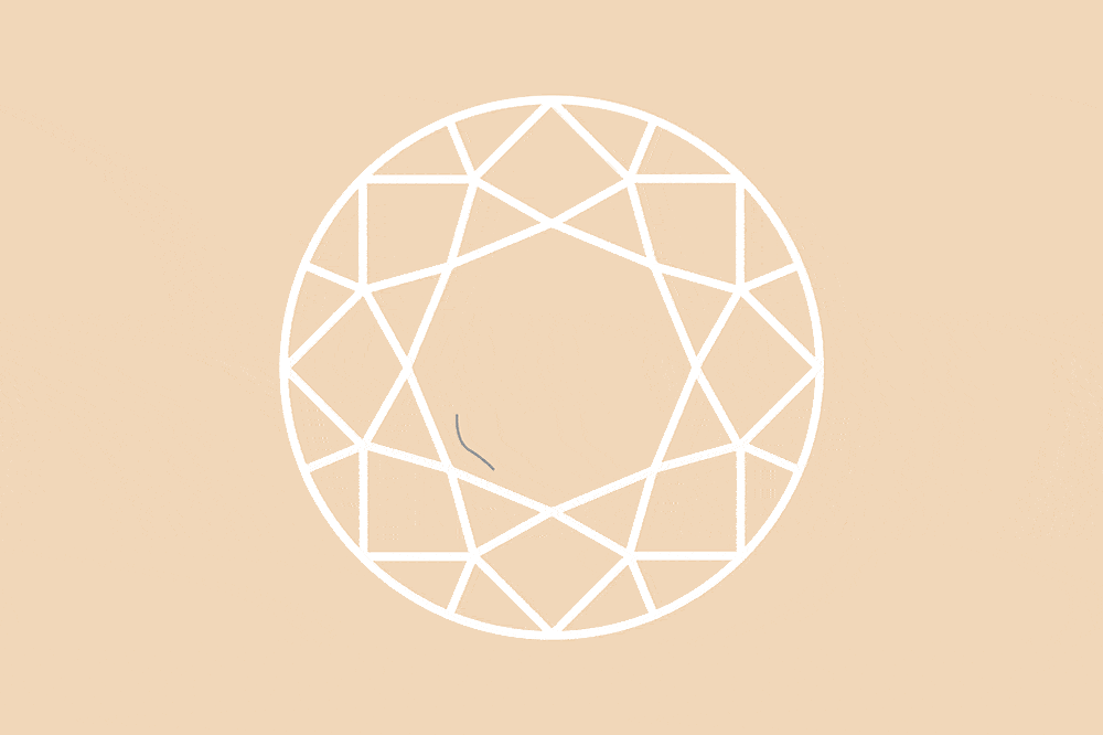 clarity_inclusion illustration