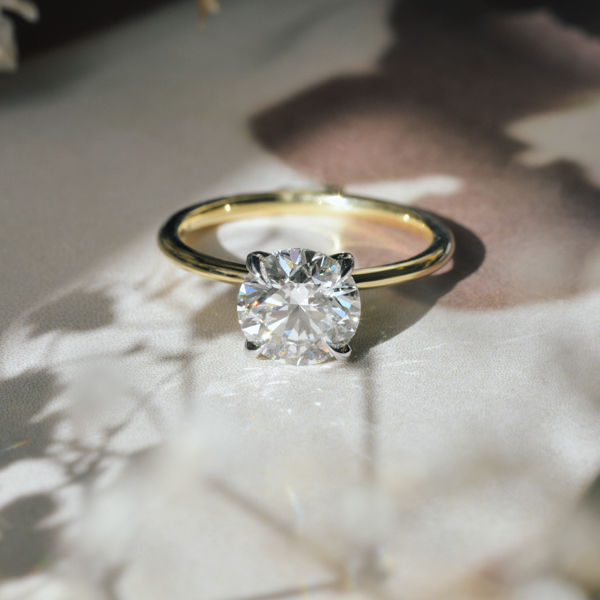 Round Engagement Ring With Two-Tone Band-profile