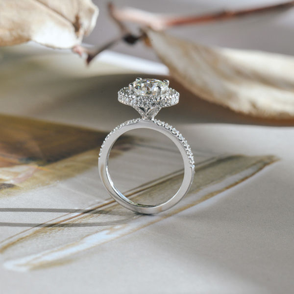 Double Halo Round Engagement Ring-profile