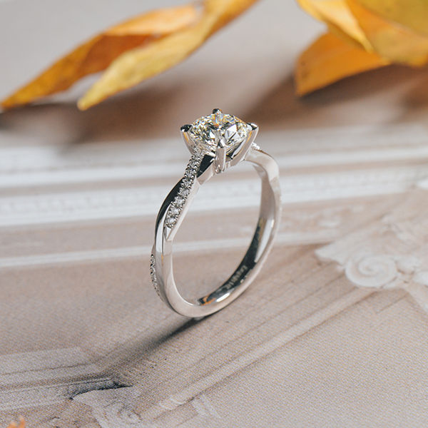 Round Engagement Ring With Pavé Twist Band-profile