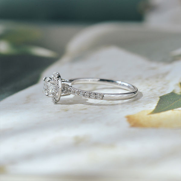 Round Halo Engagement Ring With Pavé-side