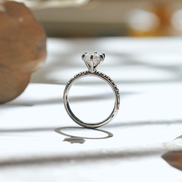 Classic Pavé 6-Prong Round Engagement Ring-profile